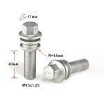 Болт S17M40 D M15X1,25X40 Дакромет Вращ.Сфера с выступом, ключ 17