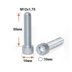 ВШ1255 Винт М12х55 внутр. шестигранник, кл. проч. 8,8, цинк DIN912